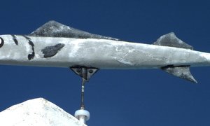 Blinklyf draai in wind